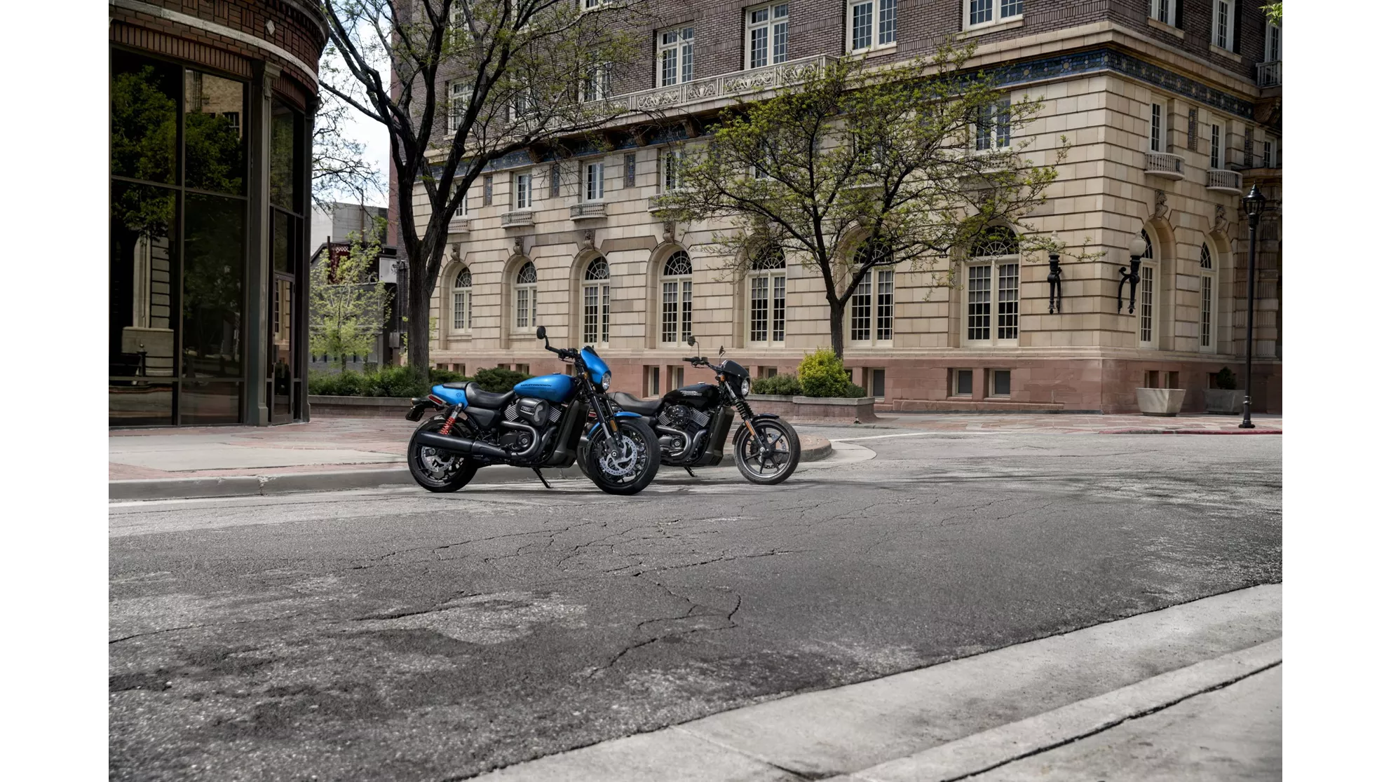 Harley-Davidson Street Rod - Image 7 Harley-Davidson Street Rod - Image 7